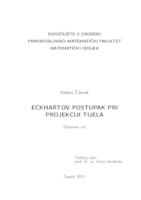 Eckhartov postupak pri projekciji tijela