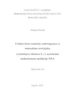 Učinkovitost somatske embriogeneze u mutantima uročnjaka (Arabidopsis thaliana L.) s narušenim mehanizmom metilacije DNA