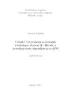 Učinak UVB-zračenja na uročnjak  (Arabidopsis thaliana (L.) Heynh.) s promijenjenom ekspresijom gena BPM