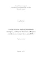 Učinak povišene temperature na linije uročnjaka Arabidopsis thaliana (L.) Heynh. s promijenjenom ekspresijom gena DMS3