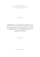 Prehrana kapelske svijetlice Telestes karsticus  Marčić i Mrakovčić, 2011 (Cyprinidae, Actinopterygii) u potoku Sušik