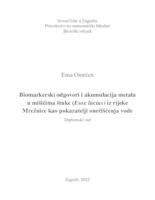 Biomarkerski odgovori i akumulacija metala u mišićima štuke (Esox lucius) iz rijeke Mrežnice kao pokazatelji onečišćenja vode