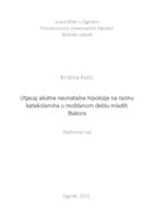 Utjecaj akutne neonatalne hipoksije na razinu katekolamina u moždanom deblu mladih štakora