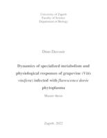 Dinamika specijaliziranoga metabolizma i fiziološkog odgovora vinove loze (Vitis vinifera) inficirane fitoplazmom flavescence dorée