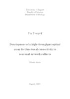 Development of a high-throughput optical assay for functional connectivity in neuron network cultures
