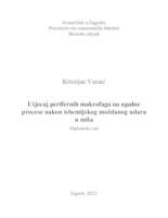 Utjecaj perifernih makrofaga na upalne procese nakon ishemijskog moždanog udara u miša