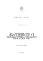 THE LONGITUDINAL IMPACT OF MULTIPLE STRESSORS ON THE
 BENTHIC INVERTEBRATE COMMUNITY IN THE BEDNJA RIVER