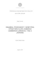 Dinamika, povezanost i genetička struktura hlapa Homarus gammarus (Linnaeus, 1758) u Jadranu