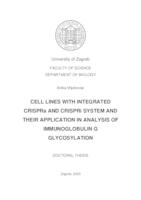 CELL LINES WITH INTEGRATED CRISPRa AND CRISPRi SYSTEM AND THEIR
 APPLICATION IN ANALYSIS OF IMMUNOGLOBULIN G GLYCOSYLATION