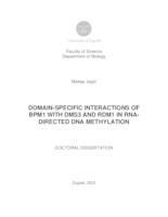 DOMAIN-SPECIFIC INTERACTIONS OF BPM1 WITH DMS3 AND RDM1 IN RNADIRECTED DNA METHYLATION