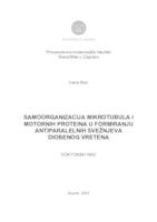 Samoorganizacija mikrotubula i motornih proteina u formiranju antiparalelnih svežnjeva diobenog vretena