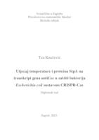 Utjecaj temperature i proteina StpA na transkript gena antiCas u zaštiti bakterija Escherichia coli sustavom CRISPR-Cas
