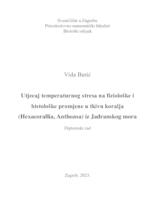 Utjecaj temperaturnog stresa na fiziološke i histološke promjene u tkivu koralja (Hexacorallia, Anthozoa) iz Jadranskog mora