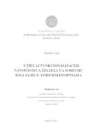 Utjecaj funkcionalizacije nanočestica željeza na sorpciju iona Er(III) u vodenim otopinama