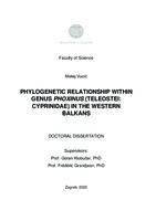 PHYLOGENETIC RELATIONSHIP WITHIN GENUS Phoxinus (TELEOSTEI:
 CYPRINIDAE) IN THE WESTERN BALKANS