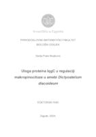 Uloga proteina IqgC u regulaciji makropinocitoze u amebi Dictyostelium discoideum