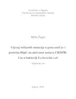 Utjecaj točkastih mutacija u genu antiCas i proteina HtpG na aktivnost sustava CRISPR-Cas u bakteriji Escherichia coli