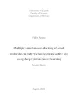 Multiple simultaneous docking of small molecules in butyrylcholinesterase active site using deep reinforcement learning