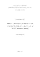 Analiza proteinskih interakcija citosolne seril-tRNA sintetaze iz biljke Arabidopsis thaliana