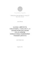 Uloga limfocita CD4+FOXP3+ I CD4+TH17+ u graničnom akutnom celularnom odbacivanju bubrežnih transplantata