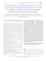 Shedding Light on Cardiac Excitation: In Vitro and In Silico Analysis of Native Ca2+ Channel Activation in Guinea Pig Cardiomyocytes using Organic Photovoltaic Devices