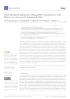 Plant-Mediated Synthesis of Magnetite Nanoparticles with Matricaria chamomilla Aqueous Extract