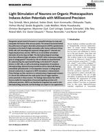 Light Stimulation of Neurons on Organic Photocapacitors Induces Action Potentials with Millisecond Precision