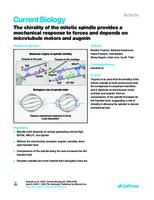 The chirality of the mitotic spindle provides a mechanical response to forces and depends on microtubule motors and augmin