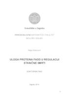 Uloga proteina FADD u regulaciji stanične smrti