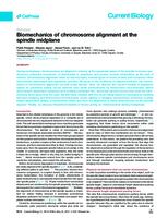 Biomechanics of chromosome alignment at the spindle midplane