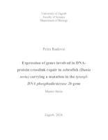 Ekspresija gena uključenih u popravak križnih veza DNA i proteina u zebricama (Danio rerio) koje nose mutaciju u genu tirozil-DNA fosfodiesteraza 2b