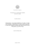 PROMJENE U ZAJEDNICI MINERALA GLINA U TLIMA RAZVIJENIM U UMJERENOJ KLIMI NA MIOCENSKIM I PLIOKVARTARNIM SEDIMENTIMA MEDVEDNIČKOGA PRIGORJA, SZ HRVATSKA