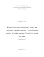 Učinci fluorescentnih derivata indola na regulaciju staničnog ciklusa i preživljavanje stanica adenokarcinoma i fibroblasta pluća čovjeka