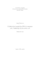 Učinkovitost popravka DNA u mutantu ssb-1 bakterije Escherichia coli