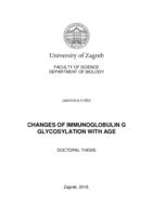 Changes of immunoglobulin G glycosylation with age