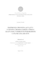 Ekspresija proteina p53 i p73 u uvjetima oksidacijskog stresa izazvanog vodikovim peroksidom u stanicama SH-SY5Y