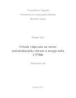 Učinak valproata na sustav antioksidacijske obrane u mozgu miša C57BI6