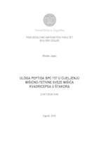 Uloga peptida BPC 157 u cijeljenju mišićno-tetivne sveze mišića kvadricepsa u štakora