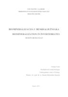 Biomineralizacija u beskralježnjaka