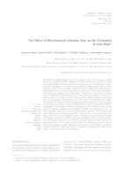 The Effect of Bicarbonate/Carbonate Ions on the Formation of Iron Rust