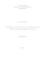 Utjecaj temperature na rast i razmnožavanje vrste Gammarus balcanicus Schaferna, 1922 (Crustacea, Amphipoda) u rijeci Cetini