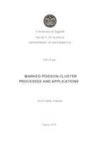Marked Poisson cluster processes and applications