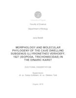 Morphology and molecular phylogeny of the cave dwelling subgenus Illyrionethes Verhoeff, 1927 (Isopoda, Trichoniscidae) in the Dinaric karst