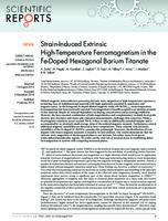 Strain-Induced Extrinsic High-Temperature Ferromagnetism in the Fe-Doped Hexagonal Barium Titanate