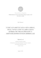 Utjecaj narušavanja gena HBS1L, PELO, NONO, SND1 na mRNA koja kodira mutirani protein S-adenozilhomocistein-hidrolazu