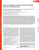 Laser microsurgery reveals conserved viscoelastic behavior of the kinetochore