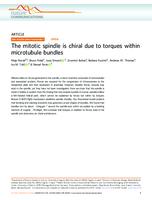 The mitotic spindle is chiral due to torques within microtubule bundles