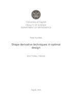Shape derivative techniques in optimal design