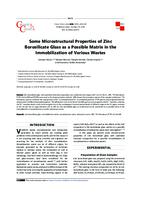 Some Microstructural Properties of Zinc Borosilicate Glass as a Possible Matrix in the Immobilization of Various Wastes