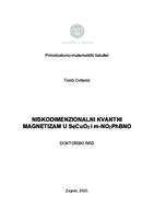 Niskodimenzionalni kvantni magnetizam u SeCuO_3 i m-NO_2PhBNO
